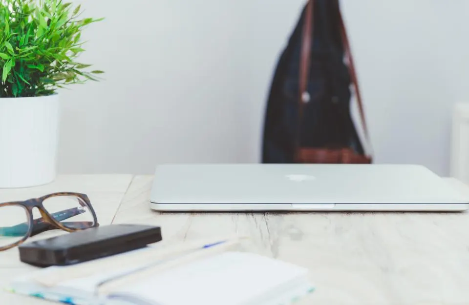 Bureau clair avec plante